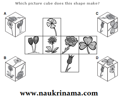 Logical Puzzle Question Quiz 2