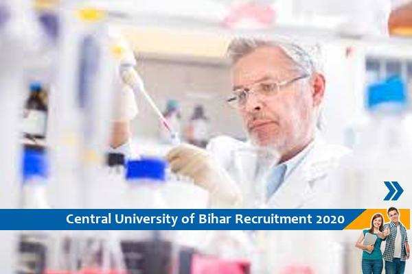 Recruitment for the post of Project Assistant in CU Bihar