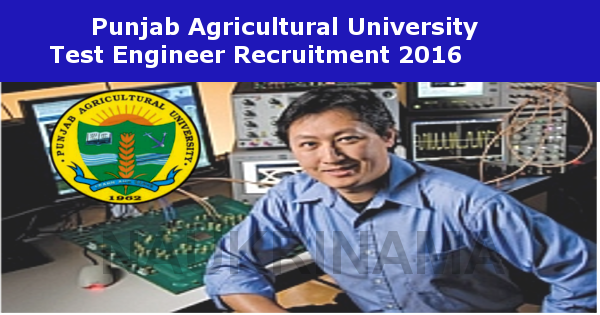 Job Alert- PAU Test Engineer Vacancies 2016