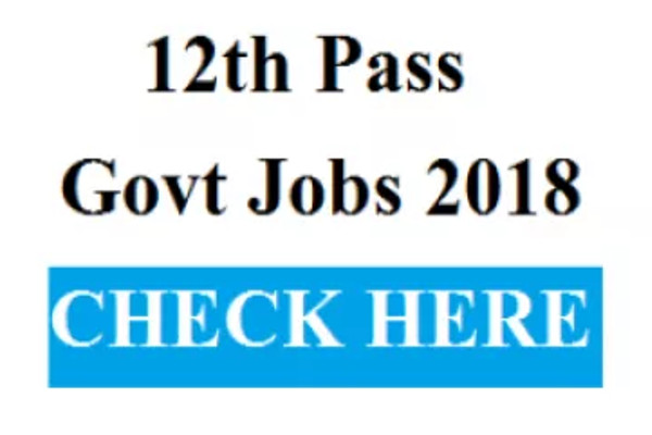 Huge Job Opening in Gujarat Govt. for 12th Pass Candidates, Apply Today