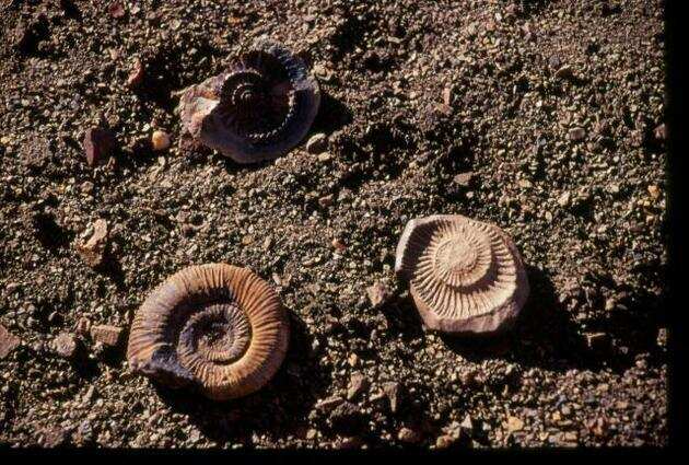 15 Facts about Mighty Himalayas that will Mesmerize you