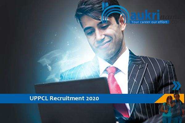 UPPCL   Recruitment for the post of  Assistant Review Officer       , Apply Now