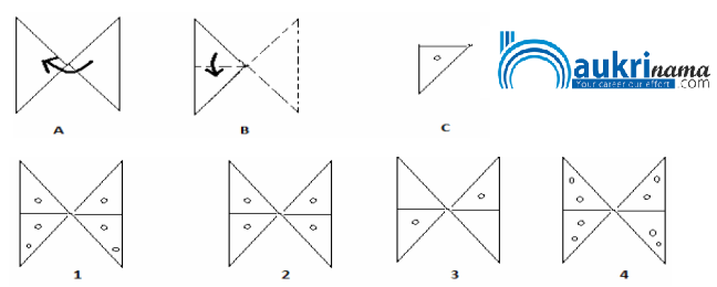 Paper Cutting Questions Quiz 1