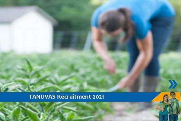 Recruitment to the post of Manager at TANUVAS Chennai