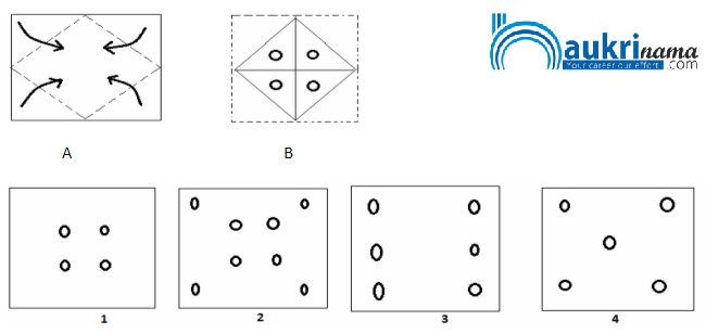 Paper Cutting Questions Quiz 1