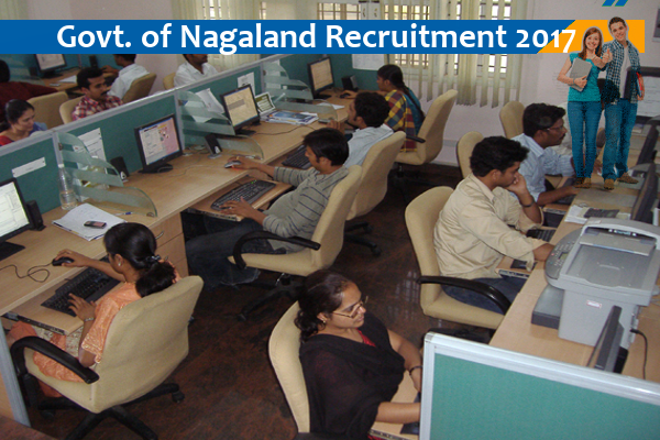 Government of Nagaland, Kohima Job for LDA-cum-Computer Assistant