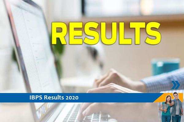 IBPS Results 2020- Office Assistant Exam 2020 Result Released, Click Here For Results