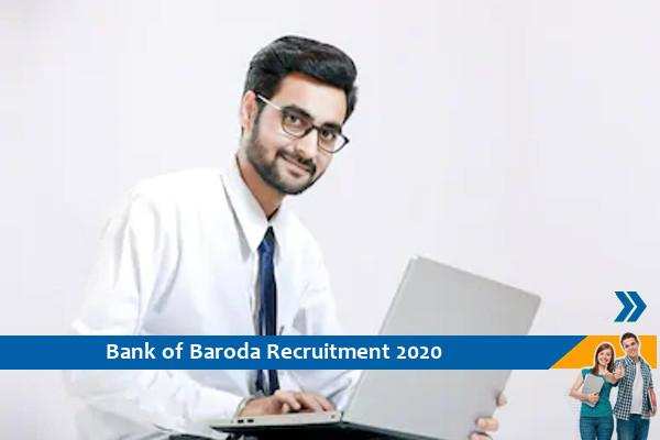 Bank of Baroda Recruitment for the post of Digital Risk Specialist and Sales Officer