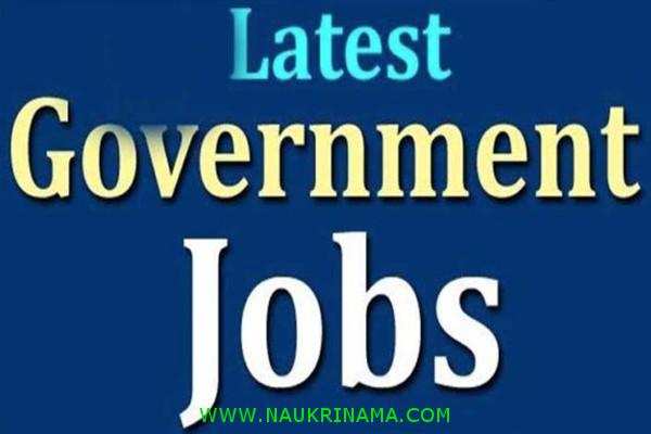 Job Digest 30 August 2020: –  Candidates who are 8th pass has now an opportunity to apply in many government jobs , Apply Now