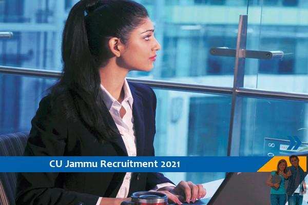 Recruitment to the post of Field Investigator at Central University of Jammu