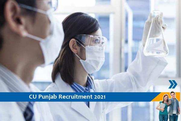 Recruitment for the post of Research Assistant in Central University of Punjab