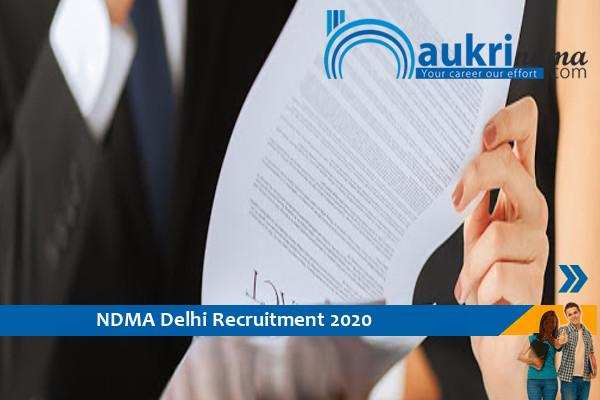 NDMA Delhi recruitment for consultant 2020
