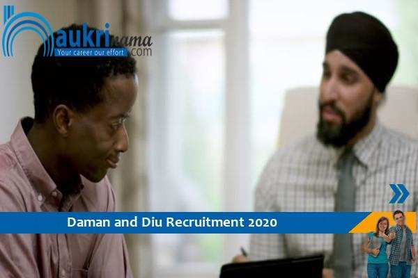 Daman and Diu Recruitment for the post of   Senior Consultant and Data Entry Operator , Click here to Apply