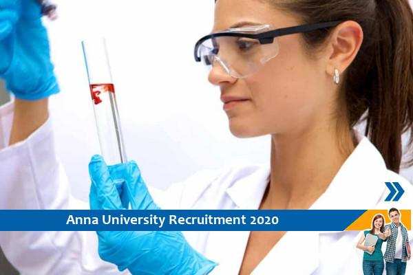 Recruitment for the post of Project Assistant in Anna University