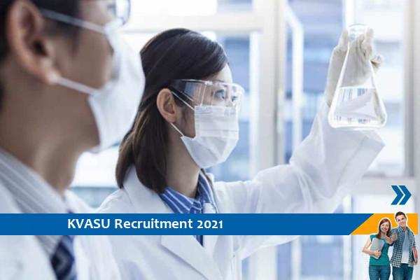 Recruitment to the post of Research Assistant in KVASU