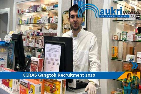 CCRAS  Recruitment for the post of  Pharmacist and Consultant  , Click here to Apply