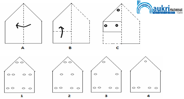 Paper Cutting Questions Quiz 1