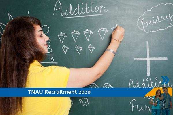 Recruitment to the post of Teaching Assistant in TNAU
