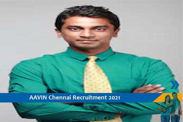 Recruitment for the post of Sales Executive at AAVIN Chennai