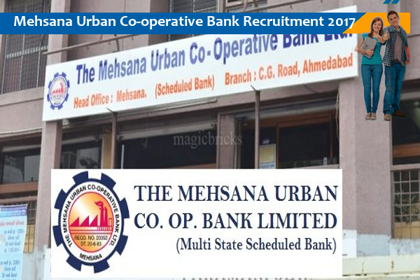Mehsana Urban Co-operative Bank Limited Job for Clerical Trainees