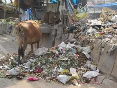 10 Dirtiest Cities of India that is just YUCK !