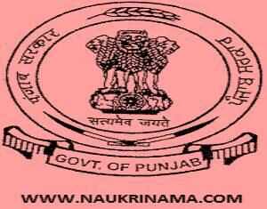 Job Alert – SSSB Punjab 614 Clerk & DEO Vacancy 2015, punjabsssb.gov.in
