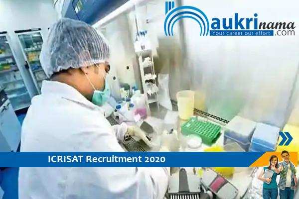 ICRISAT Hyderabad  Recruitment for the post of    Scientific Officer         , Click here to Apply