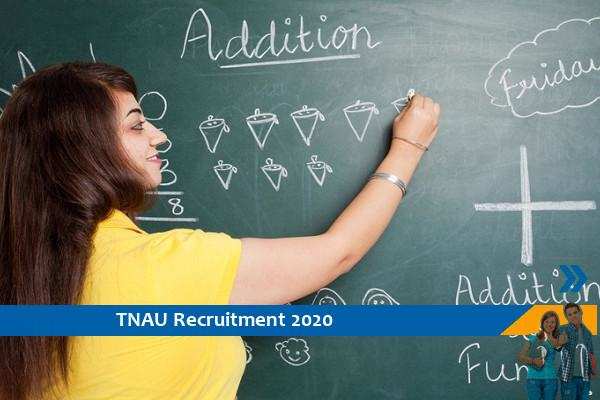 Recruitment for the post of Teaching Assistant in TNAU, apply now
