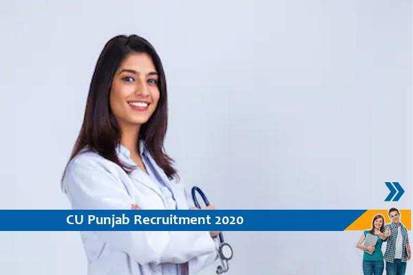 Recruitment for the post of Medical Officer in Central University of Punjab