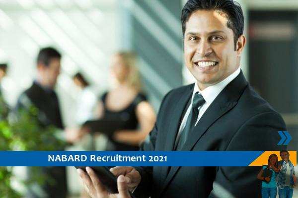 Recruitment of Consultant posts in NABARD