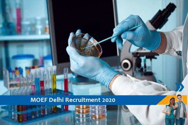 Govt of Delhi MOEF Recruitment for Scientist Vacancies