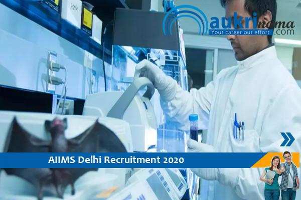 AIIMS Delhi Recruitment for the post of Scientist D . Apply Now