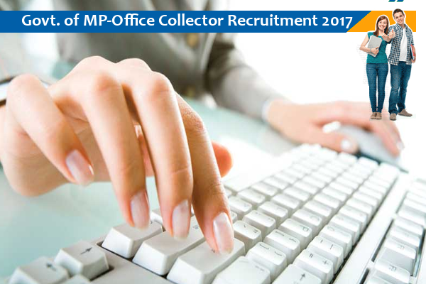 Govt. of MP-Office Collector, Sehore Job for Office Assistant cum Data Entry Operator