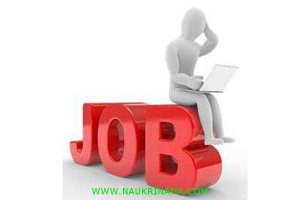 Job Digest 03 August 2020-  SSC  has announced bumper vacancies  , Apply Now