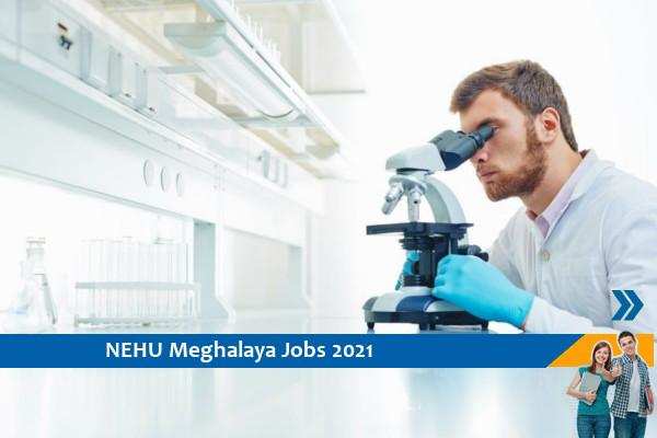 Recruitment for the post of Research Associate in NEHU