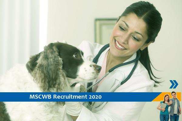 Veterinary recruitment in MSCWB