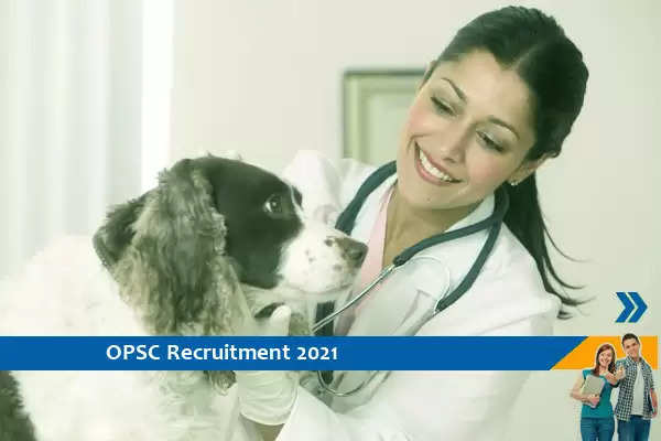 Recruitment for the post of Assistant Veterinarian in OPSC