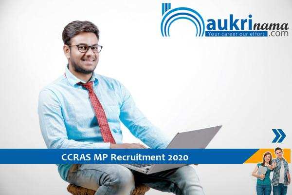 CCRAS    Recruitment for the post of  Program Assistant    , Apply Now