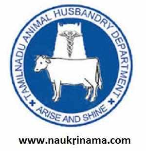 TN Animal Husbandry Department recruitment 2015 –Veterinary posts (1106)