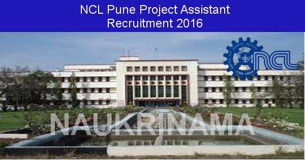 Job Alert: Project Assistant Vacancy in NCL Pune-2016