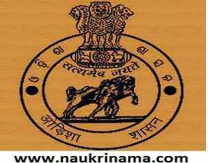 Govt. of Odisha Malkangiri Recruitment 2015 – Expert Livelihoods/Social