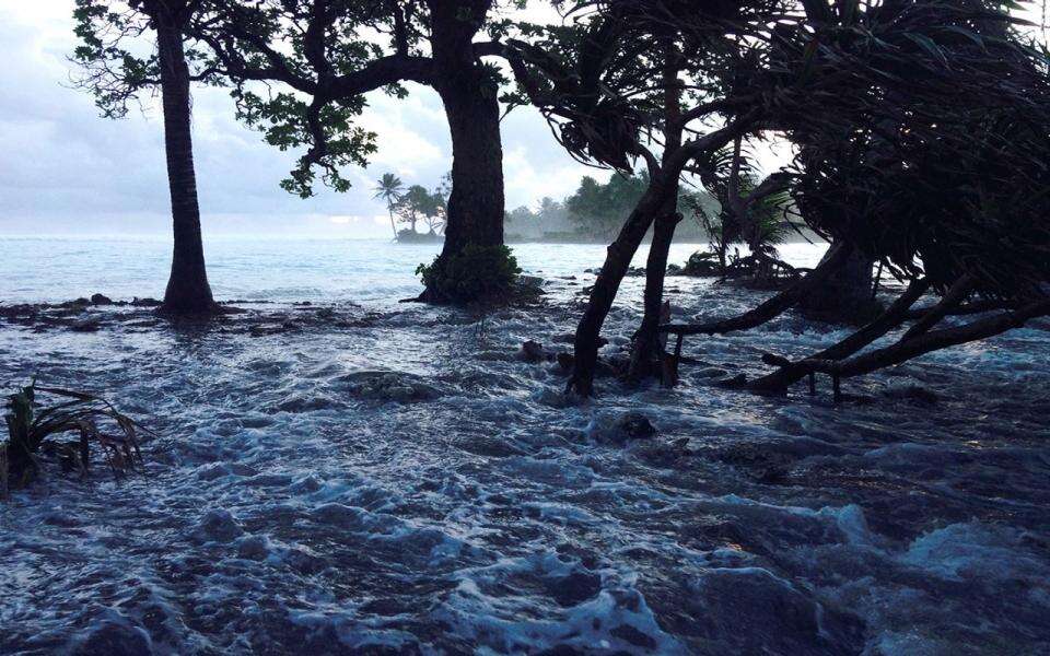 30 Shocking facts about Global Warming in the world