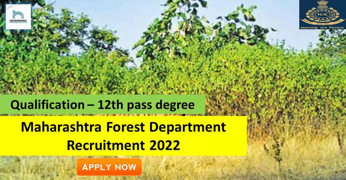 Government Jobs 2022 - Maharashtra Forest Department (Maha Forest) has invited applications from young and eligible candidates to fill the post of Data Entry Operator. If you have obtained 12th pass degree and you are looking for government job for many days, then you can apply for these posts. Important Dates and Notifications – Post Name - Data Entry Operator Total Posts – 3 Last Date – 18 September 2022 Location - Maharashtra Maharashtra Forest Department (Maha Van) Post Details 2022 Age Range - Candidates minimum age of 18 years and maximum age of 40 years will be valid and age relaxation will be given to reserved category. salary - The candidates who will be selected for these posts will be given a salary of 14,000/- per month. Qualification - Candidates should have 12th pass degree from any recognized institute and have experience in the relevant subject. Selection Process Candidate will be selected on the basis of written examination. How to apply - Eligible and interested candidates may apply online on prescribed format of application along with self restrictive copies of education and other qualification, date of birth and other necessary information and documents and send before due date. Official Site of Maharashtra Forest Department (Maha Van) Download Official Release From Here Get information about more government jobs in Maharashtra from here