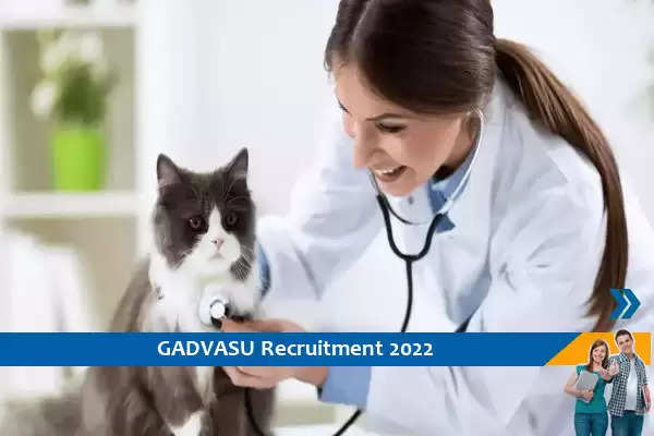 GADVASU, Ludhiana ने पशु चिकित्सा अधिकारी के पद पर निकाली भर्ती, स्नातक पास करे जल्द आवेदन