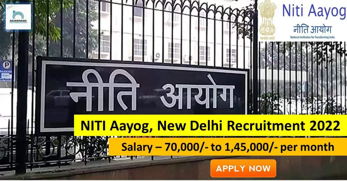 niti aayog consultant and young professional Jobs 2022