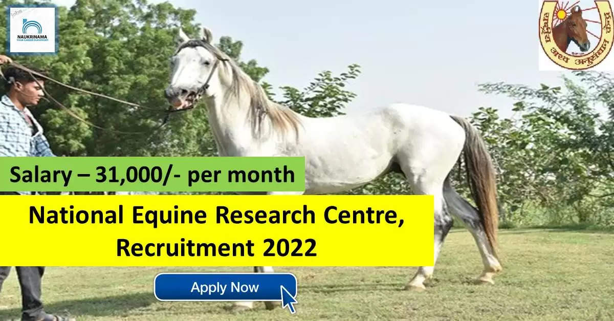 NRCE Recruitment 2022: A great opportunity has come out to get a job (Sarkari Naukri) in the National Research Center on Horses (NRCE). NRCE has invited applications to fill the posts of Senior Research Fellow (NRCE Recruitment 2022). Interested and eligible candidates who want to apply for these vacant posts (NRCE Recruitment 2022) can apply by visiting the official website of NRCE http://nrce.gov.in/. The last date to apply for these posts (NRCE Recruitment 2022) is 27 September.  Apart from this, candidates can also directly apply for these posts (NRCE Recruitment 2022) by clicking on this official link http://nrce.gov.in/. If you want more detail information related to this recruitment, then you can view and download the official notification (NRCE Recruitment 2022) through this link NRCE Recruitment 2022 Notification PDF. A total of 1 posts will be filled under this recruitment (NRCE Recruitment 2022) process.  Important Dates for NRCE Recruitment 2022  Starting date of online application - 15 September  Last date to apply online - 27 September  NRCE Recruitment 2022 Vacancy Details  Total No. of Posts- 1  Eligibility Criteria for NRCE Recruitment 2022  Masters Degree in Pathology, Microbiology, Life Sciences, Immunology / Post Graduate Degree in Basic Sciences  Age Limit for NRCE Recruitment 2022  Candidates age limit should be between 35 years.  Salary for NRCE Recruitment 2022  31,000/- per month  Selection Process for NRCE Recruitment 2022  Selection Process Candidate will be selected on the basis of written examination.  How to Apply for NRCE Recruitment 2022  Interested and eligible candidates can apply through official website of NRCE (http://nrce.gov.in/) latest by 27 September 2022. For detailed information regarding this, you can refer to the official notification given above.    If you want to get a government job, then apply for this recruitment before the last date and fulfill your dream of getting a government job. You can visit naukrinama.com for more such latest government jobs information.