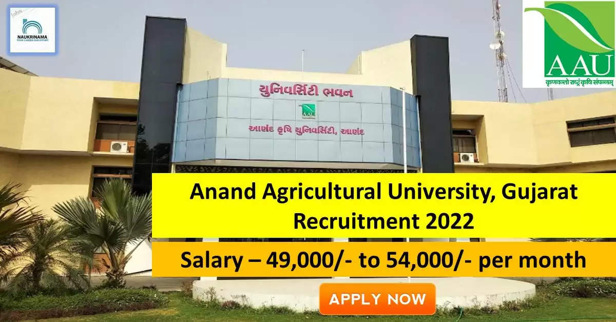 AAU Recruitment 2022: A great opportunity has come out to get a job (Sarkari Naukri) in Anand Agricultural University (AAU). AAU has invited applications to fill the posts of Research Associate (AAU Recruitment 2022). Interested and eligible candidates who want to apply for these vacant posts (AAU Recruitment 2022), they can apply by visiting the official website of AAU http://www.aau.in/. The last date to apply for these posts (AAU Recruitment 2022) is 26 September.  Apart from this, candidates can also directly apply for these posts (AAU Recruitment 2022) by clicking on this official link http://www.aau.in/. If you want more detail information related to this recruitment, then you can see and download the official notification (AAU Recruitment 2022) through this link AAU CEPTAM Recruitment 2022 Notification PDF. A total of 1 posts will be filled under this recruitment (AAU Recruitment 2022) process.  Important Dates for AAU Recruitment 2022  Starting date of online application - 13 September  Last date to apply online - 26 September  Vacancy Details for AAU Recruitment 2022  Total No. of Posts- 1  Eligibility Criteria for AAU Recruitment 2022  MSc/PhD degree in Plant Breeding Genetic  Age Limit for AAU Recruitment 2022  Candidates age limit should be 40 years.  Salary for AAU Recruitment 2022  49,000/- to 54,000/- per month  Selection Process for AAU Recruitment 2022  Selection Process Candidate will be selected on the basis of written examination.  How to Apply for AAU Recruitment 2022  Interested and eligible candidates can apply through official website of AAU (http://www.aau.in/) latest by 26 September 2022. For detailed information regarding this, you can refer to the official notification given above.    If you want to get a government job, then apply for this recruitment before the last date and fulfill your dream of getting a government job. You can visit naukrinama.com for more such latest government jobs information.