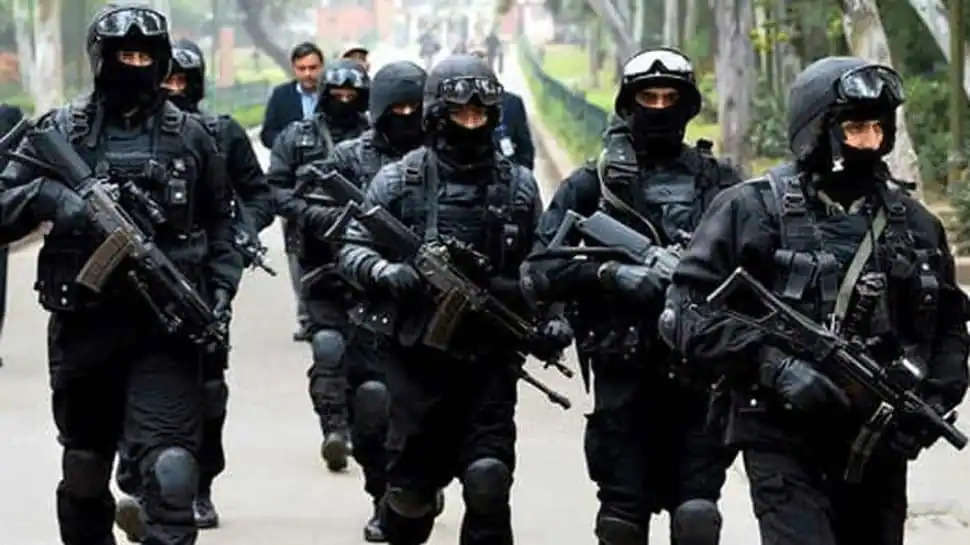 Career Tips 2022 : Want to become Black Cat Commando? You can earn upto 2.5 Lac Monthly Salary