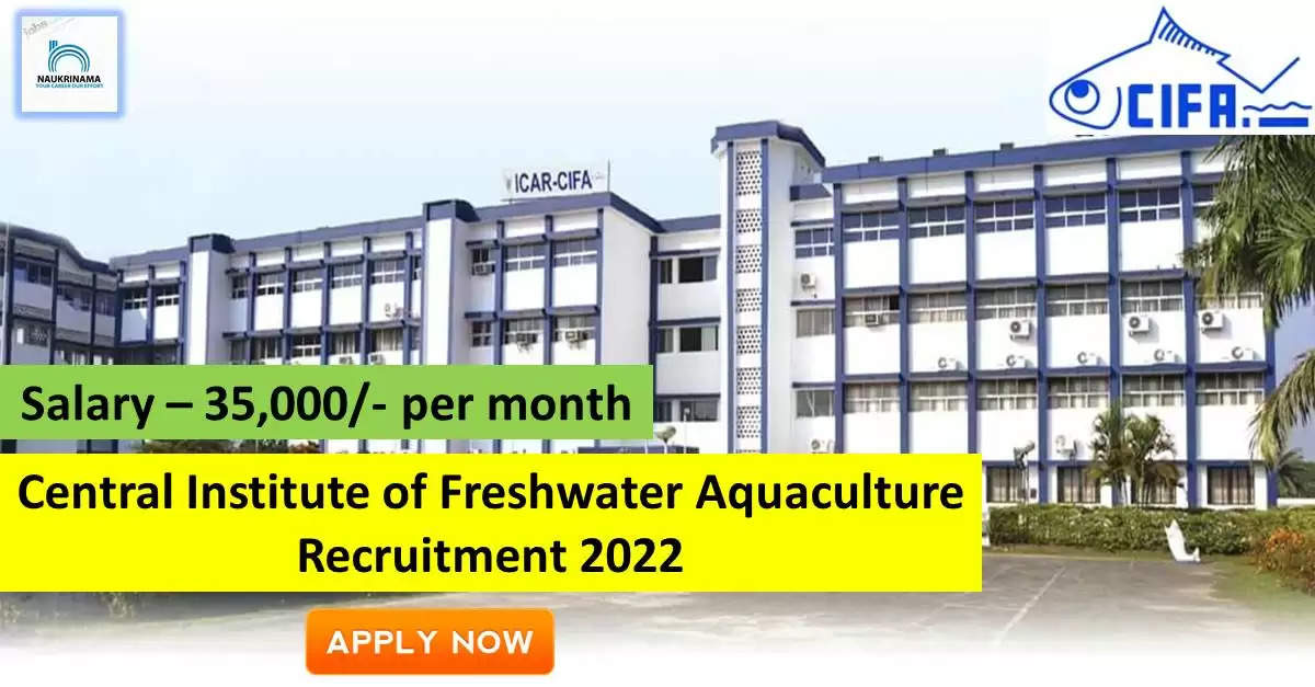 CIFA Recruitment 2022: A great opportunity has come out to get a job (Sarkari Naukri) in Central Institute of Freshwater Aquaculture (CIFA). CIFA has invited applications to fill the posts of Young Professional-II (CIFA Recruitment 2022). Interested and eligible candidates who want to apply for these vacant posts (CIFA Recruitment 2022) can apply by visiting the official website of CIFA at cifa.nic.in. The last date to apply for these posts (CIFA Recruitment 2022) is 30 September.  Apart from this, candidates can also directly apply for these posts (CIFA Recruitment 2022) by clicking on this official link cifa.nic.in. If you want more detail information related to this recruitment, then you can see and download the official notification (CIFA Recruitment 2022) through this link CIFA Recruitment 2022 Notification PDF. A total of 1 posts will be filled under this recruitment (CIFA Recruitment 2022) process.  Important Dates for CIFA Recruitment 2022  Starting date of online application - 17 September  Last date to apply online - 30 September  CIFA Recruitment 2022 Vacancy Details  Total No. of Posts- 1  Eligibility Criteria for CIFA Recruitment 2022  MF, Sc/ MSc in Zoology/ Life Science/ Aquaculture  Age Limit for CIFA Recruitment 2022  Candidates age limit should be between 21 to 45 years.  Salary for CIFA Recruitment 2022  35,000/- per month  Selection Process for CIFA Recruitment 2022  Selection Process Candidate will be selected on the basis of written examination.  How to Apply for CIFA Recruitment 2022  Interested and eligible candidates can apply through official website of CIFA (cifa.nic.in) latest by 30 September 2022. For detailed information regarding this, you can refer to the official notification given above.    If you want to get a government job, then apply for this recruitment before the last date and fulfill your dream of getting a government job. You can visit naukrinama.com for more such latest government jobs information.