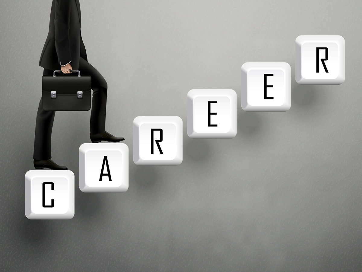 naukrinama.com - Exploring Career Paths After Graduation: Opportunities for BA, B.Com, and B.Sc Graduates